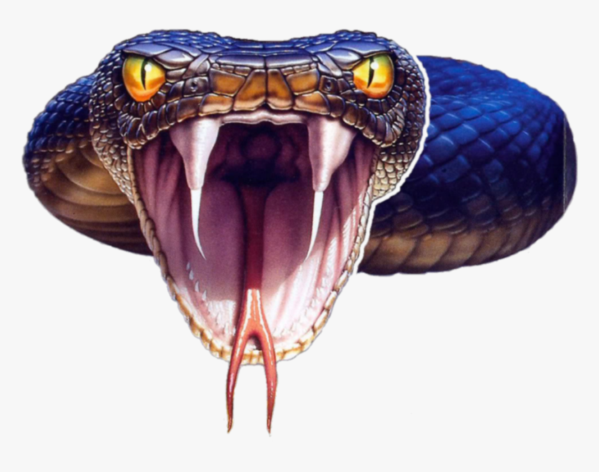 Reptile Tongue Png, Transparent Png, Free Download
