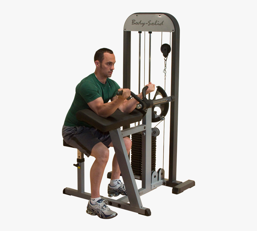 Body Solid Pro Select Bicep & Tricep Machine - Bicep Machine, HD Png Download, Free Download