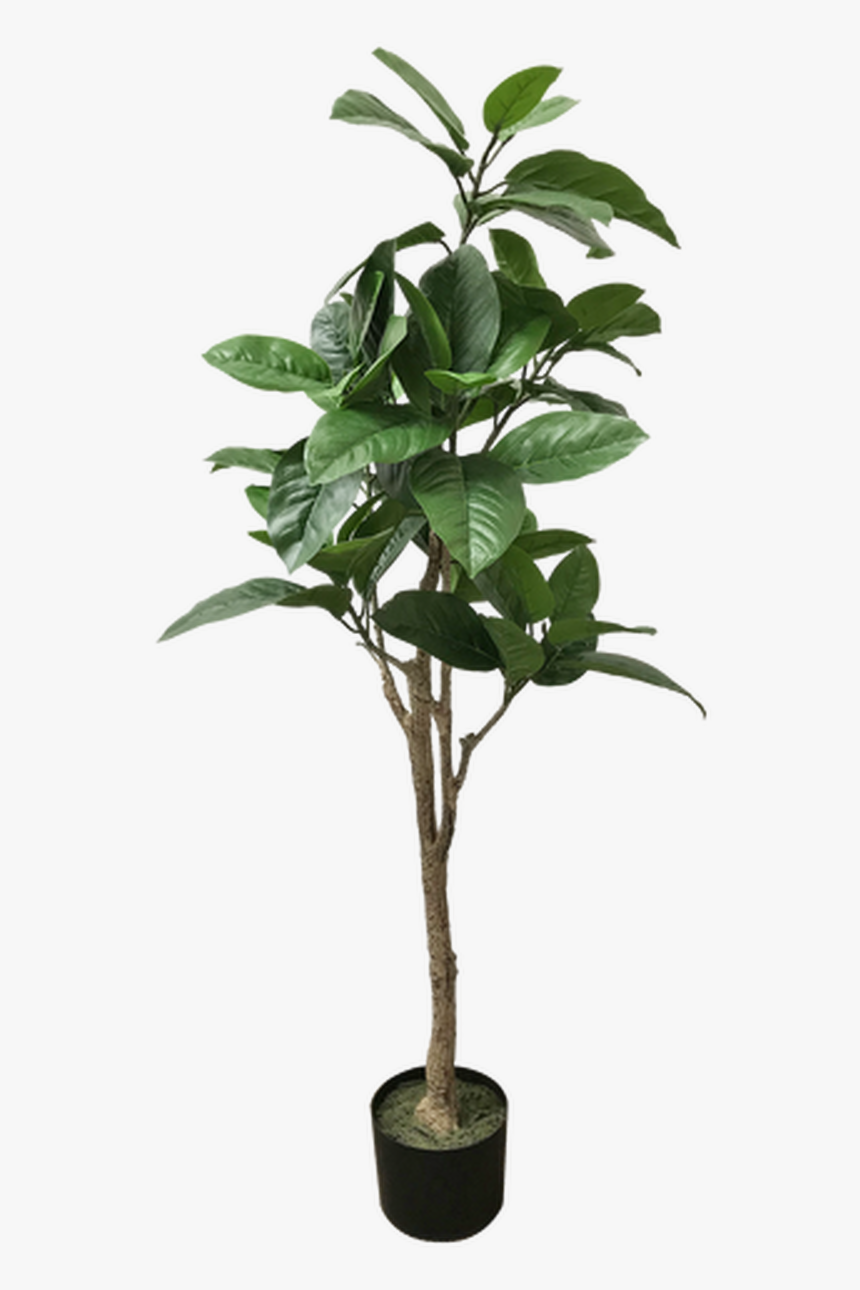 Tropical Tree - Artificial Plant - Piante Finte Da Esterno, HD Png Download, Free Download