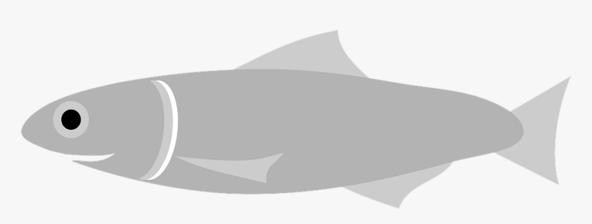 Graphic Bass Fish Vector Stock Vector Art & More Images - Anchovy Clipart, HD Png Download, Free Download