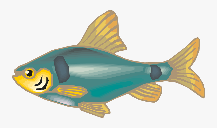 Different Fish Vector Set Png - Goldfish, Transparent Png, Free Download