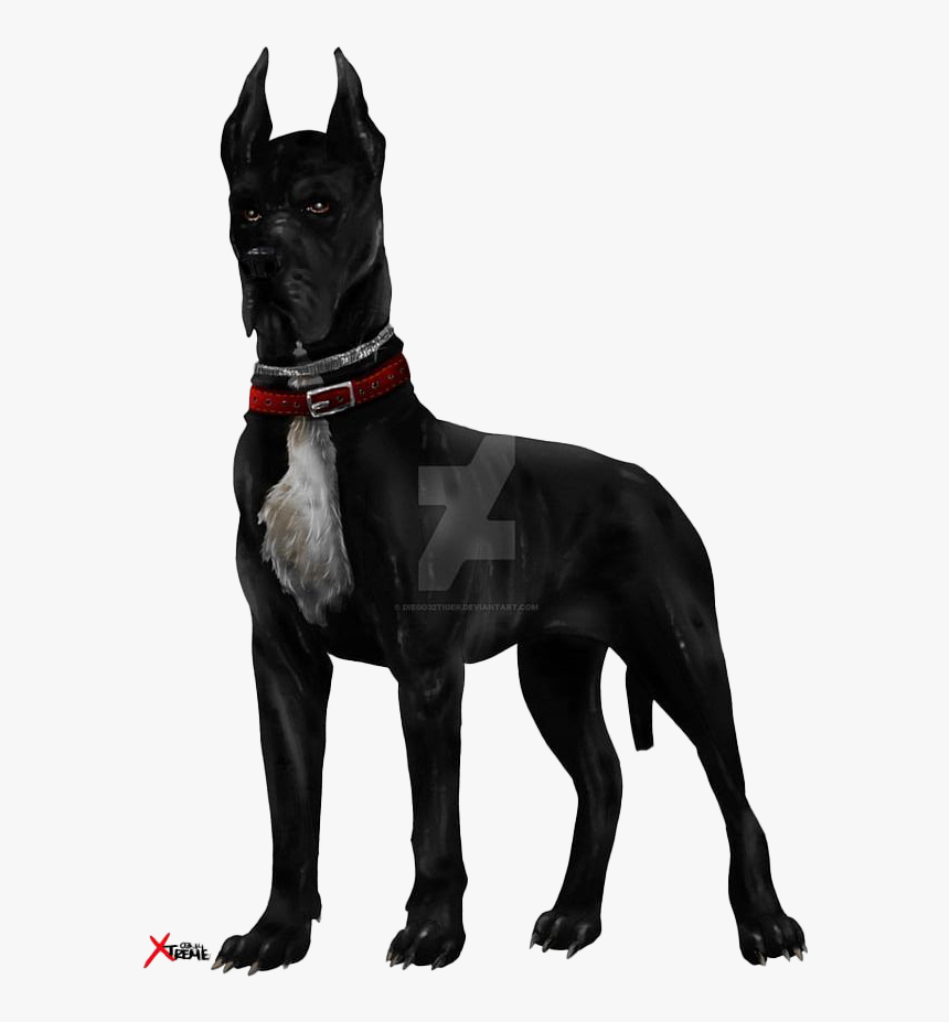 Black Dog Png Images - Black Cane Corso Pitbull, Transparent Png, Free Download