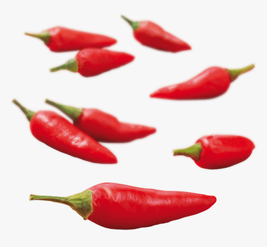 Bird's Eye Chili, HD Png Download, Free Download