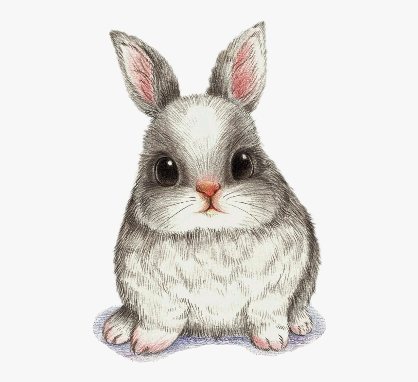 Drawing Watercolor Painting Art Image - Cute Bunny Drawing Watercolor, HD Png Download, Free Download