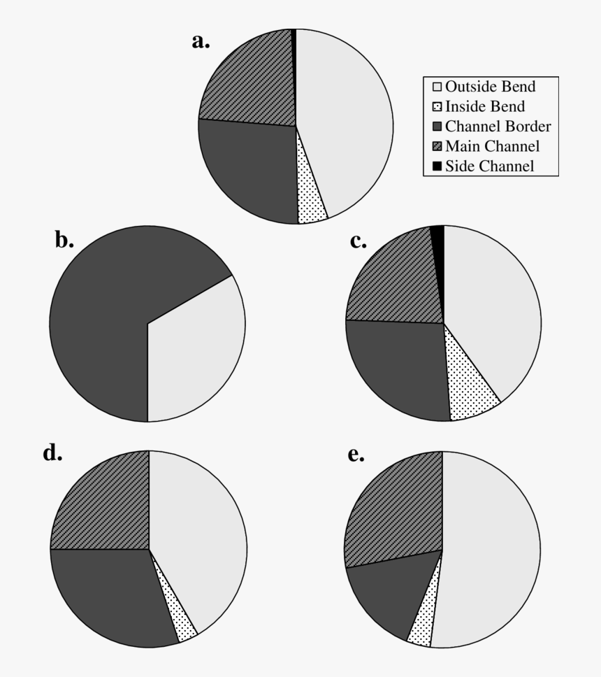 Annual And Seasonal , Summer (c) - Circle, HD Png Download, Free Download