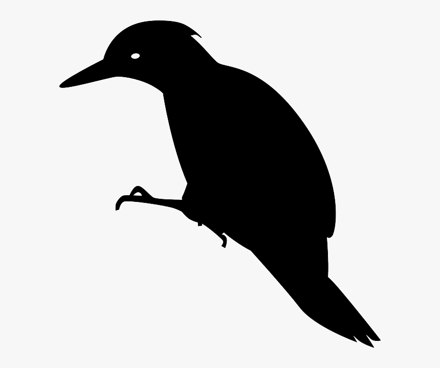 Red Cockaded Woodpecker Silhouette, HD Png Download, Free Download