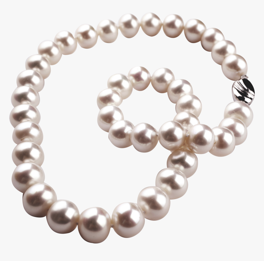 Beads Vector Pearl Necklace - Jewellery, HD Png Download, Free Download