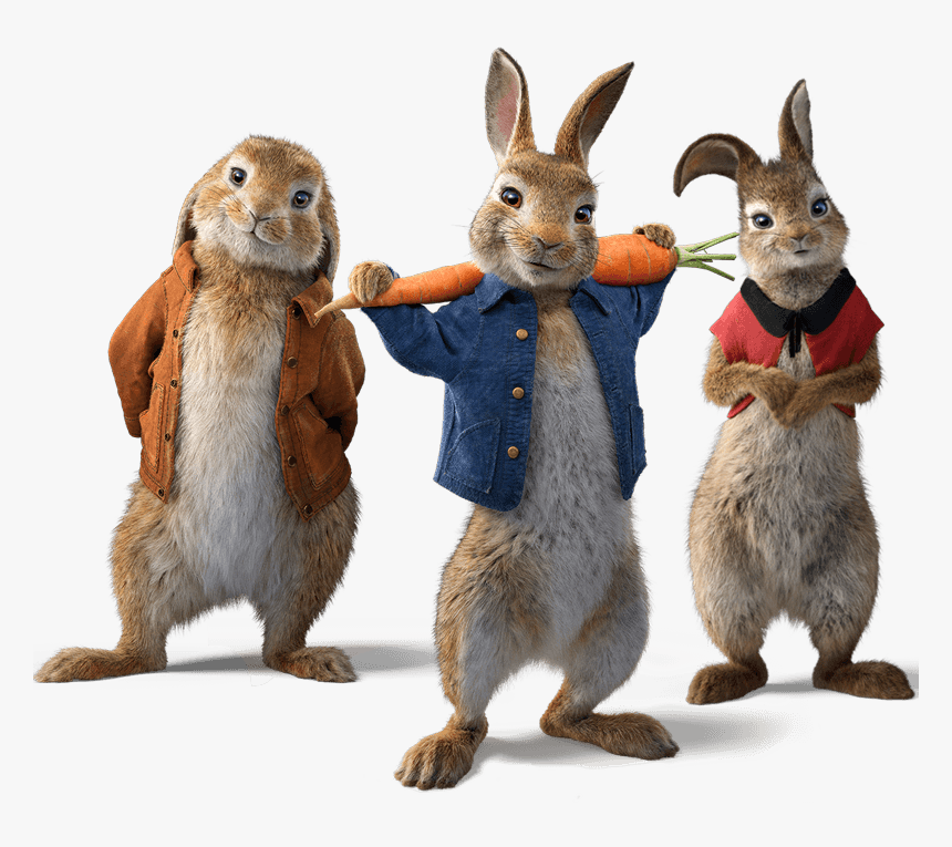 Rabbits - Draw Peter Rabbit 2, HD Png Download, Free Download