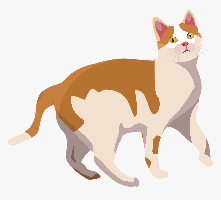 Funny Kitten Vector Png, Transparent Png, Free Download