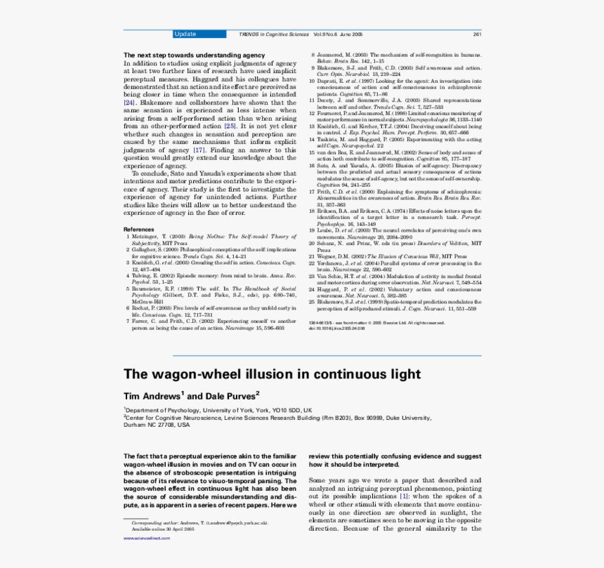 Document, HD Png Download, Free Download