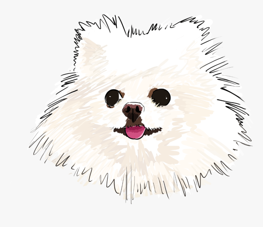 White Pomeranian Cartoon, HD Png Download, Free Download