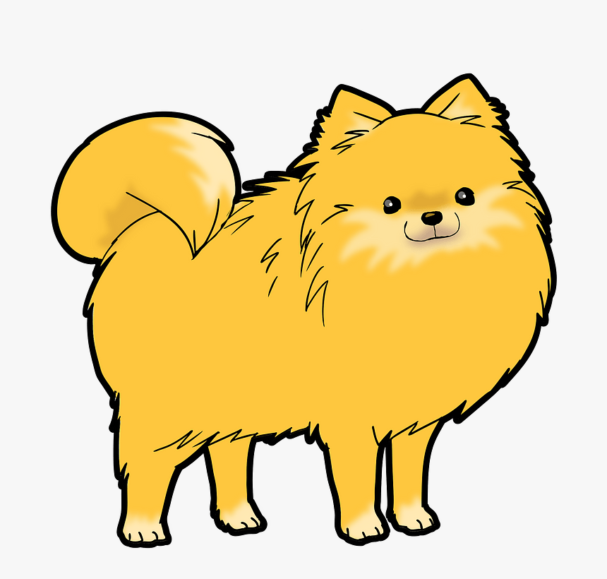 Pomeranian Dog Clipart - Pomeranian, HD Png Download, Free Download