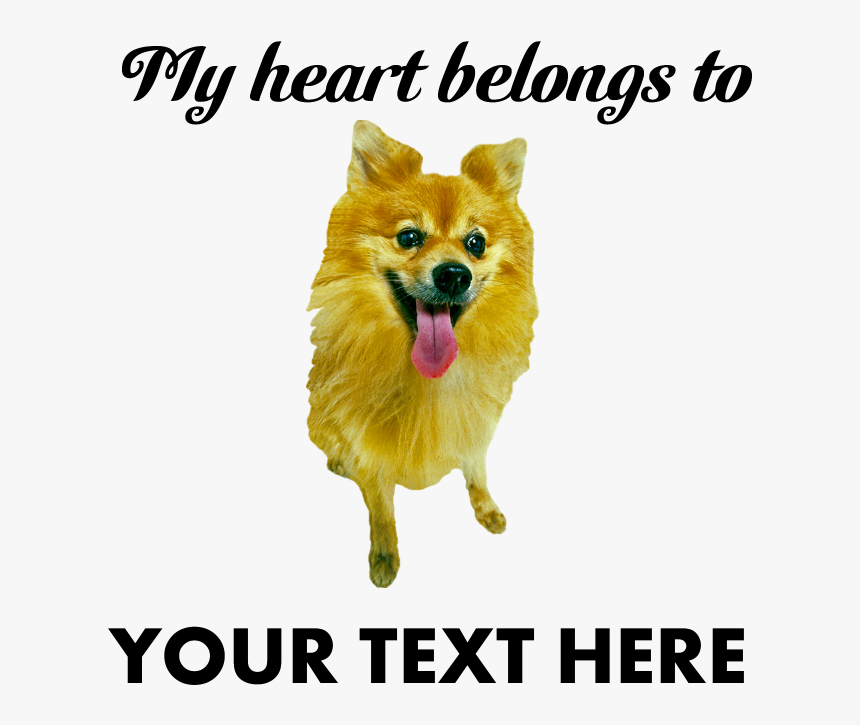 Pomeranian , Png Download - German Spitz Mittel, Transparent Png, Free Download