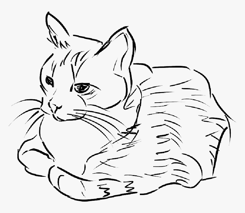 Cat, Feline, Animal, Pet - Cat Drawing Clipart, HD Png Download, Free Download