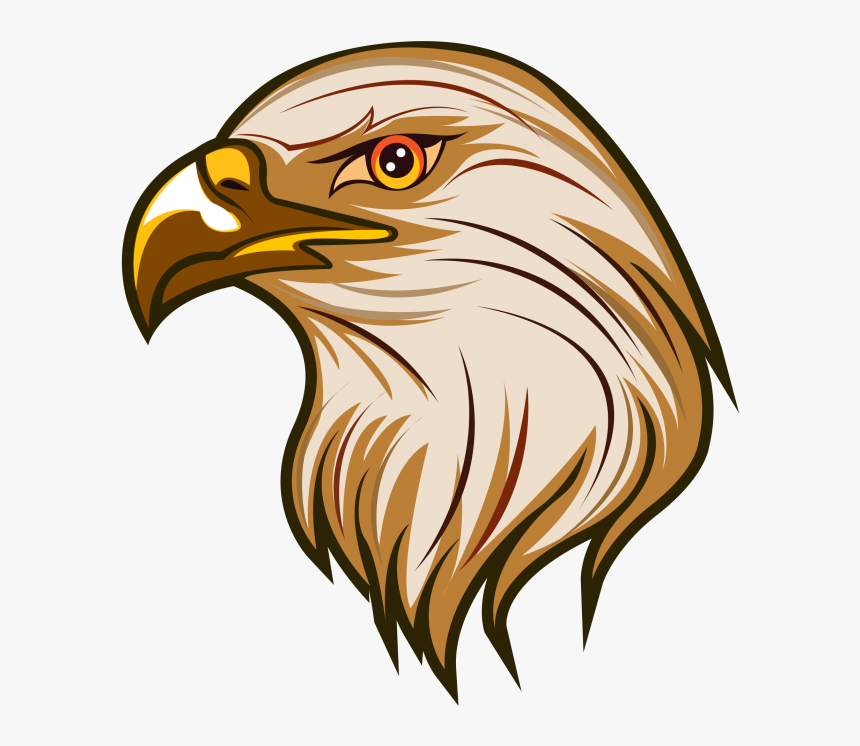 Bald Eagle , Png Download - Eagle Clipart Png, Transparent Png, Free Download