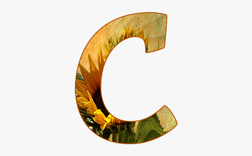 Crescent, HD Png Download, Free Download