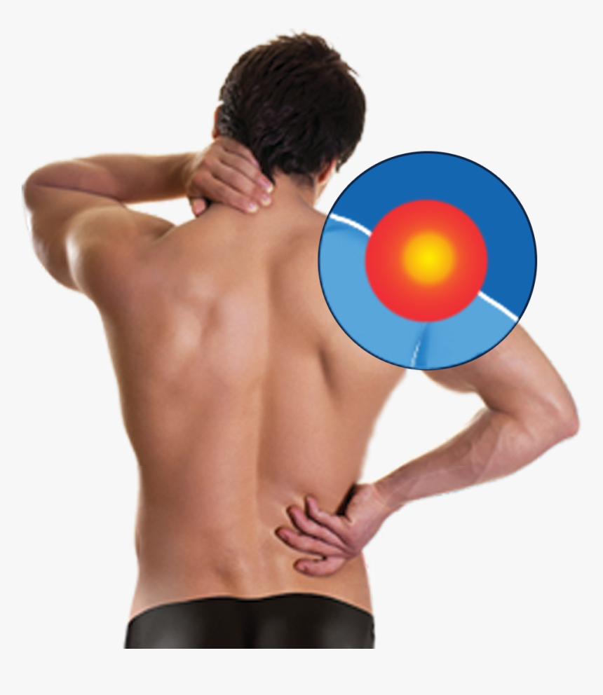 Of Muscles, Tendons And Ligaments - Neck And Back Pain, HD Png Download, Free Download