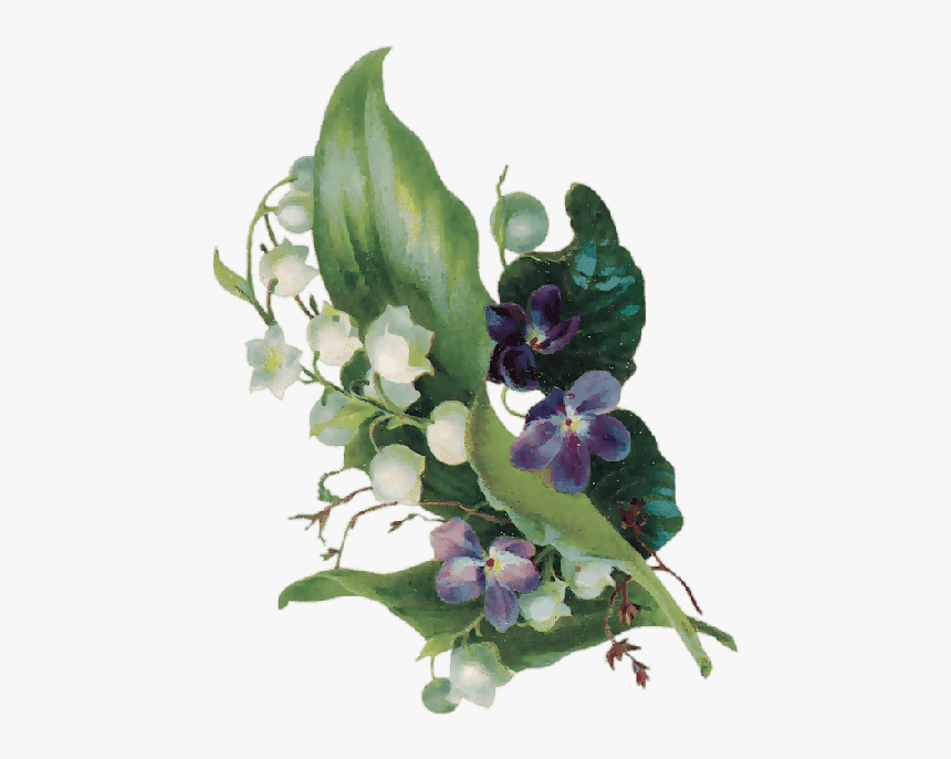 Violets And Lily Of The Valley, HD Png Download, Free Download