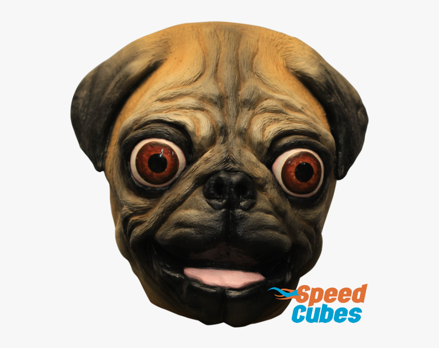 Mascara De Perro Pub Latex Original - Pug Mask Png, Transparent Png, Free Download