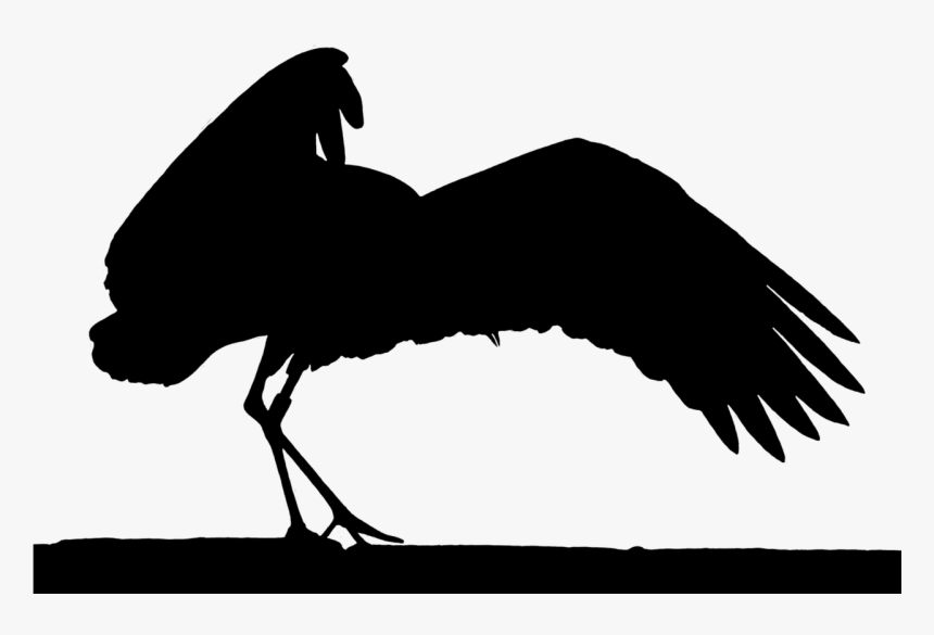 Stork Elegant Silhouette - Birds, HD Png Download, Free Download