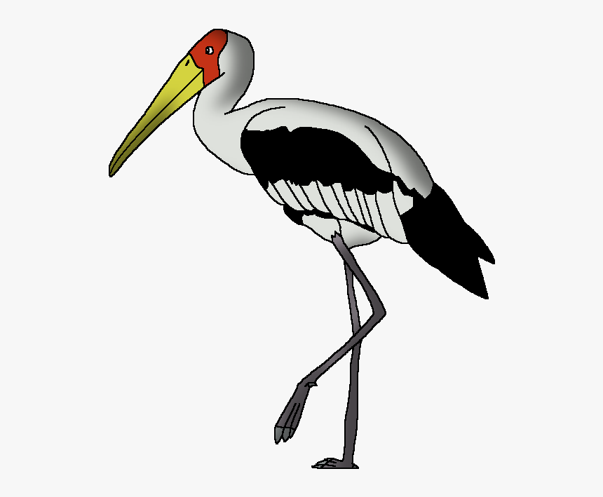Wildlife Animal Pedia Wiki - Painted Stork In Easy Drawing, HD Png Download, Free Download