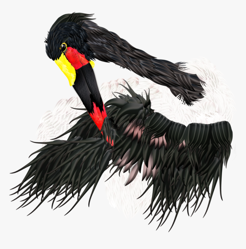 Saddle-billed Stork All Merged, HD Png Download, Free Download