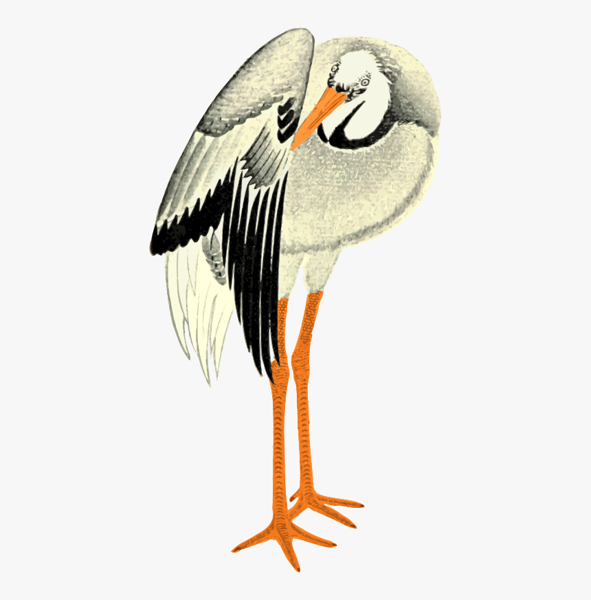 White Stork , Png Download - White Stork, Transparent Png, Free Download