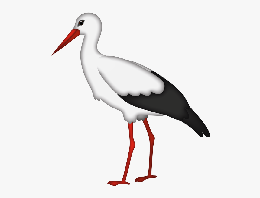 White Stork, HD Png Download, Free Download