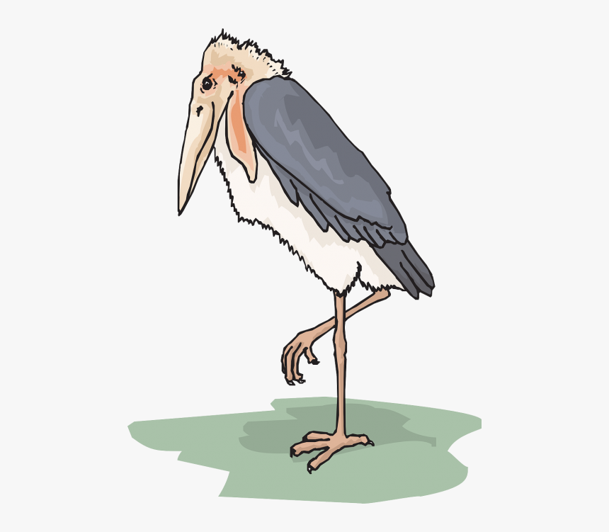 Bird Wings Stork - Marabou Stork Clipart, HD Png Download, Free Download