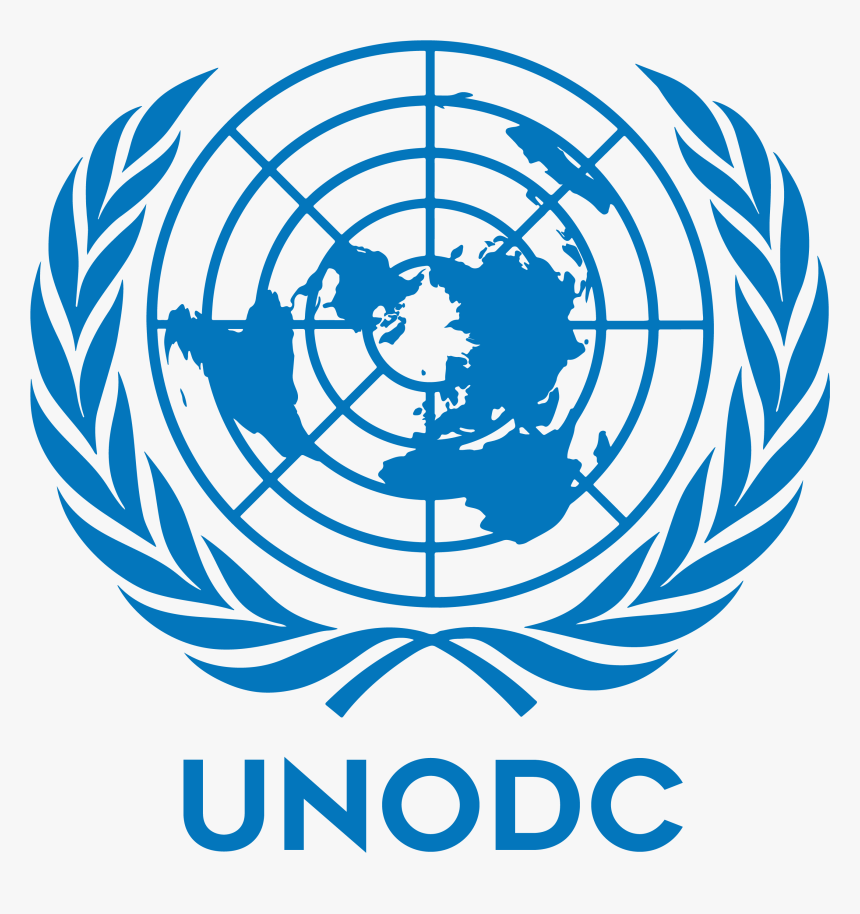 The united nations organization презентация