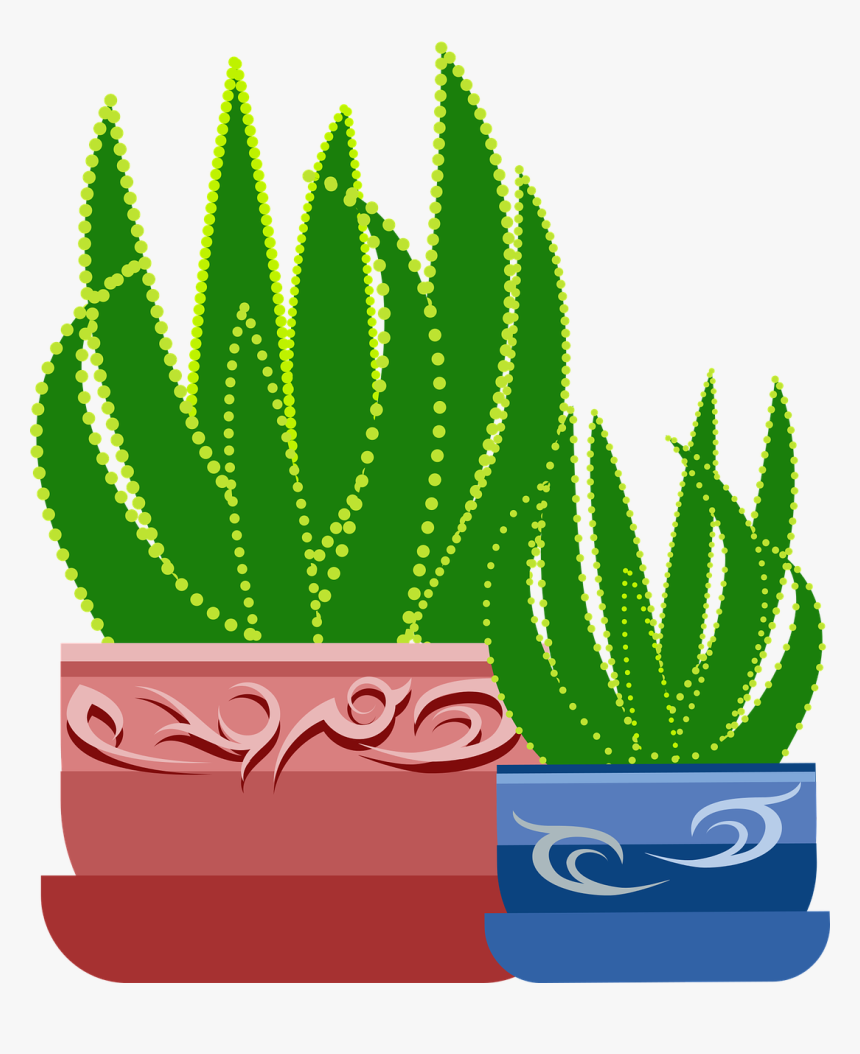 Cây Lô Hội Vector, HD Png Download, Free Download