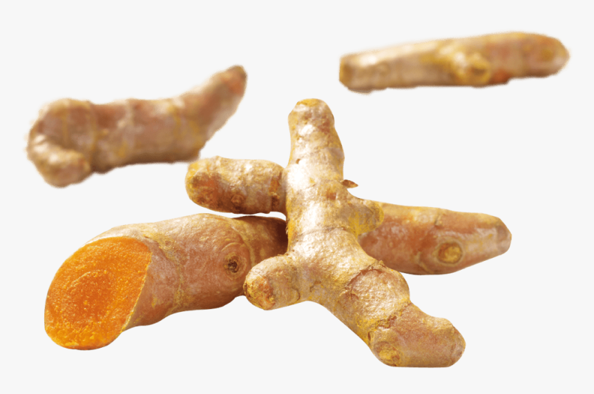 Ginger, HD Png Download, Free Download