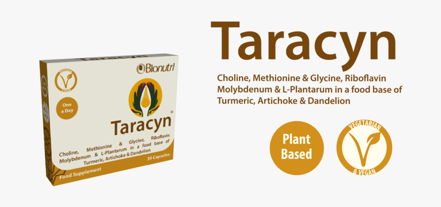 Taracynv2-01 - Box, HD Png Download, Free Download