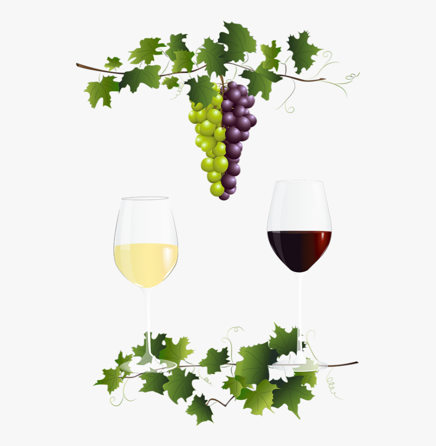 Vendanges, Tube Vin, Raisin - Виноградная Лоза С Гроздями Пнг Вектор, HD Png Download, Free Download