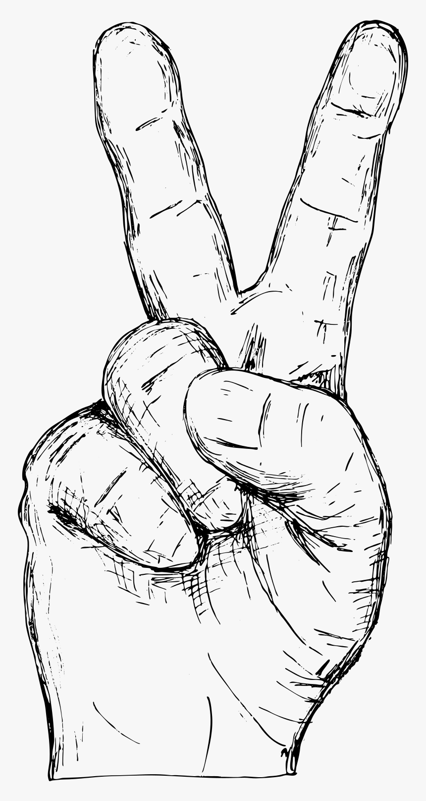 Hand Drawn Hand Gestures Vector 7 1 - Line Art, HD Png Download, Free Download