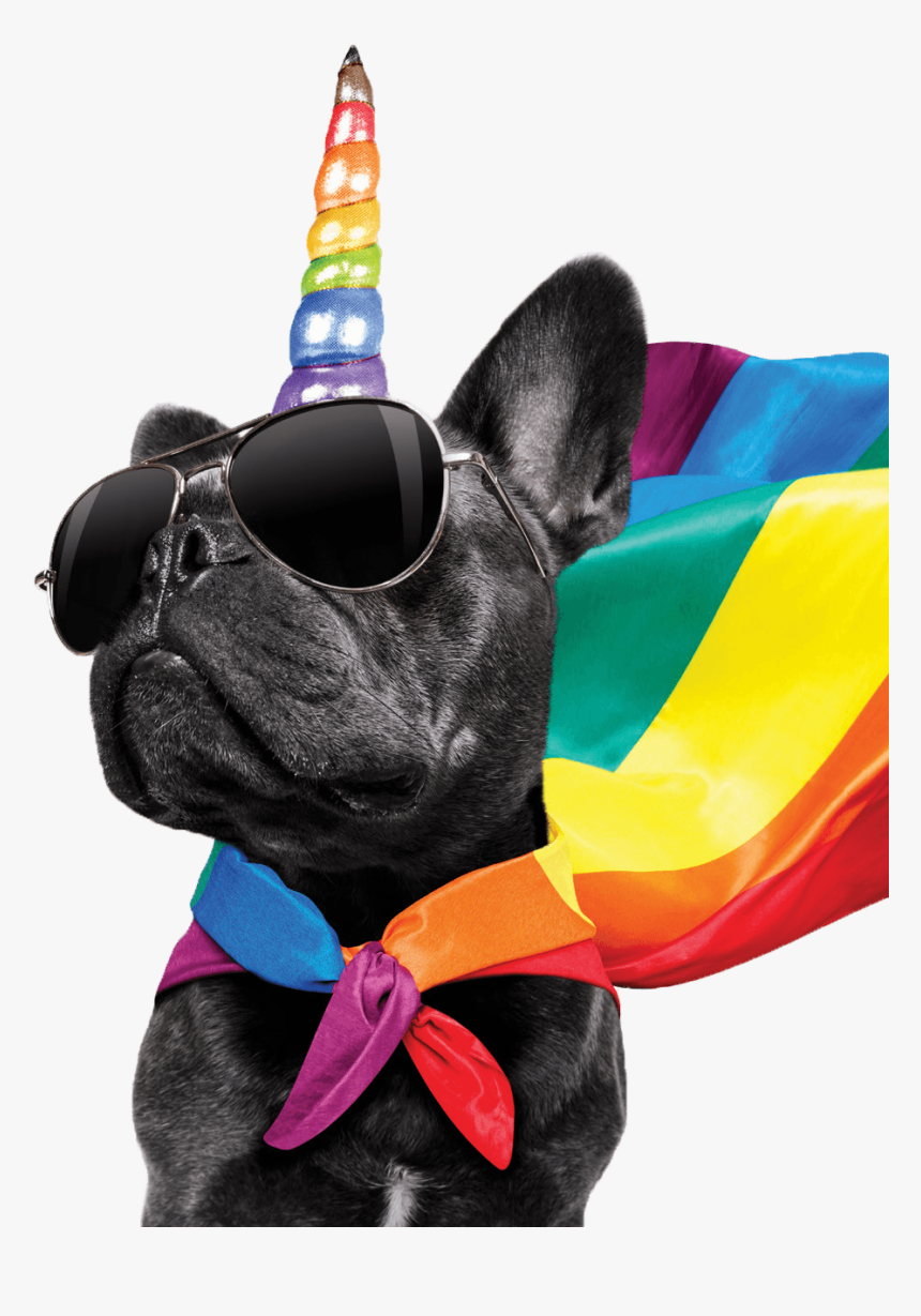 Pride Funny Gay, HD Png Download, Free Download