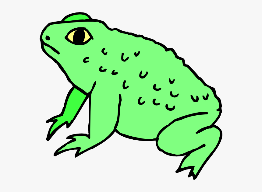 Toad Clipart, HD Png Download, Free Download