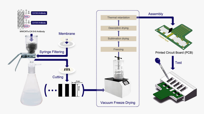 Diagram, HD Png Download, Free Download