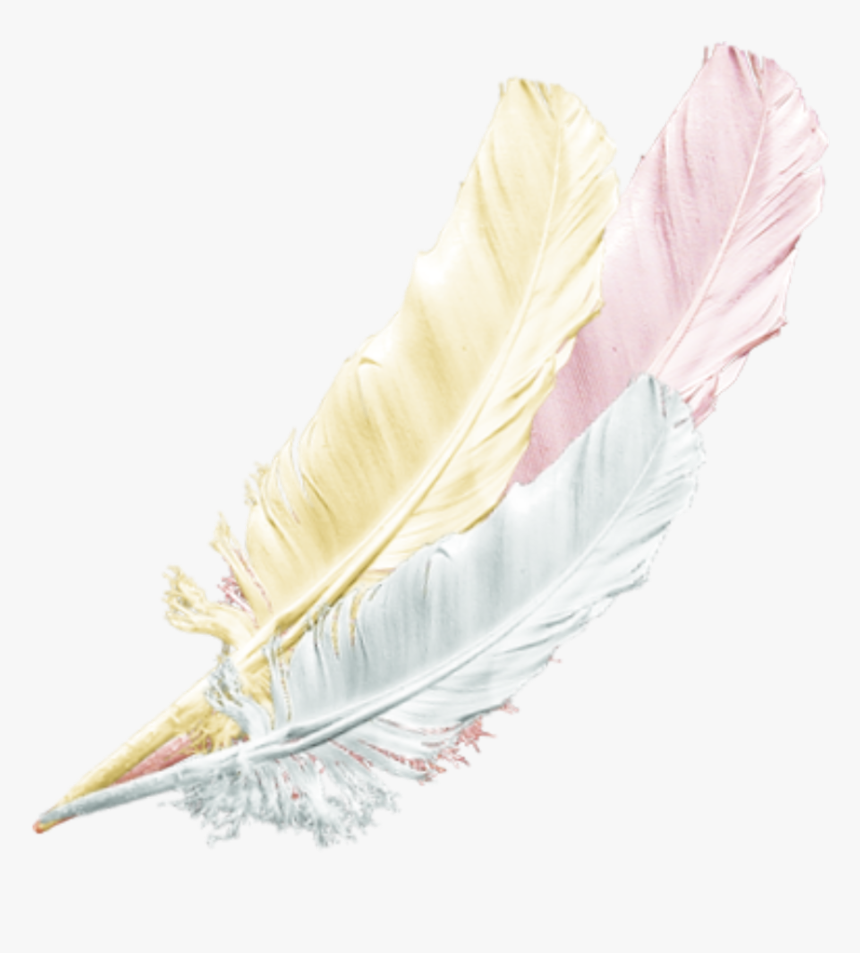 Transparent Feather Png Transparent - Origami, Png Download, Free Download