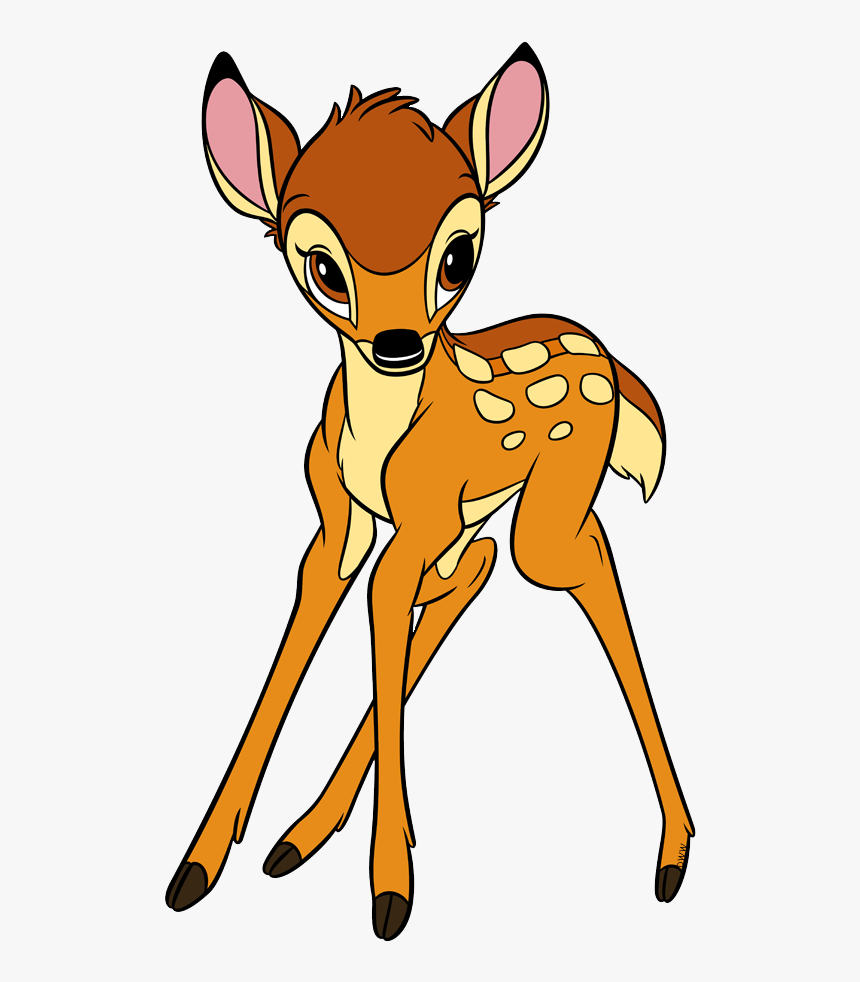 Roe Deer, HD Png Download, Free Download