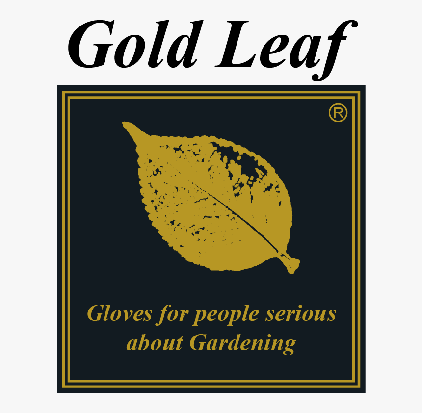 Knight Piesold, HD Png Download, Free Download