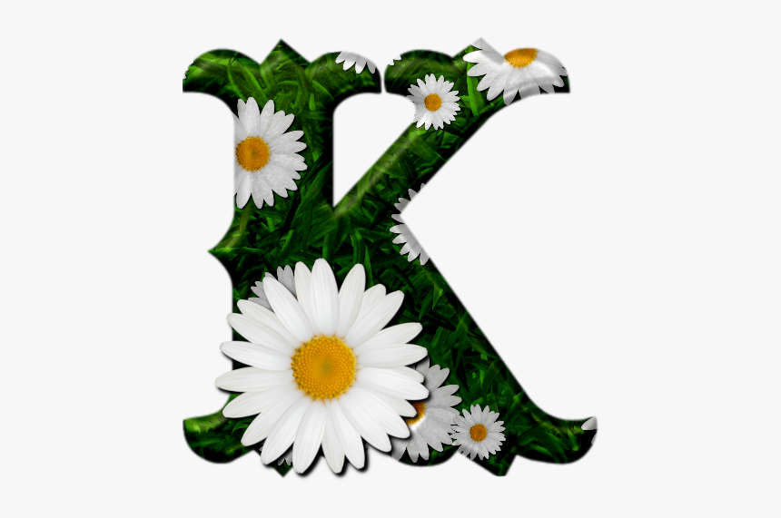 Camomile, HD Png Download, Free Download