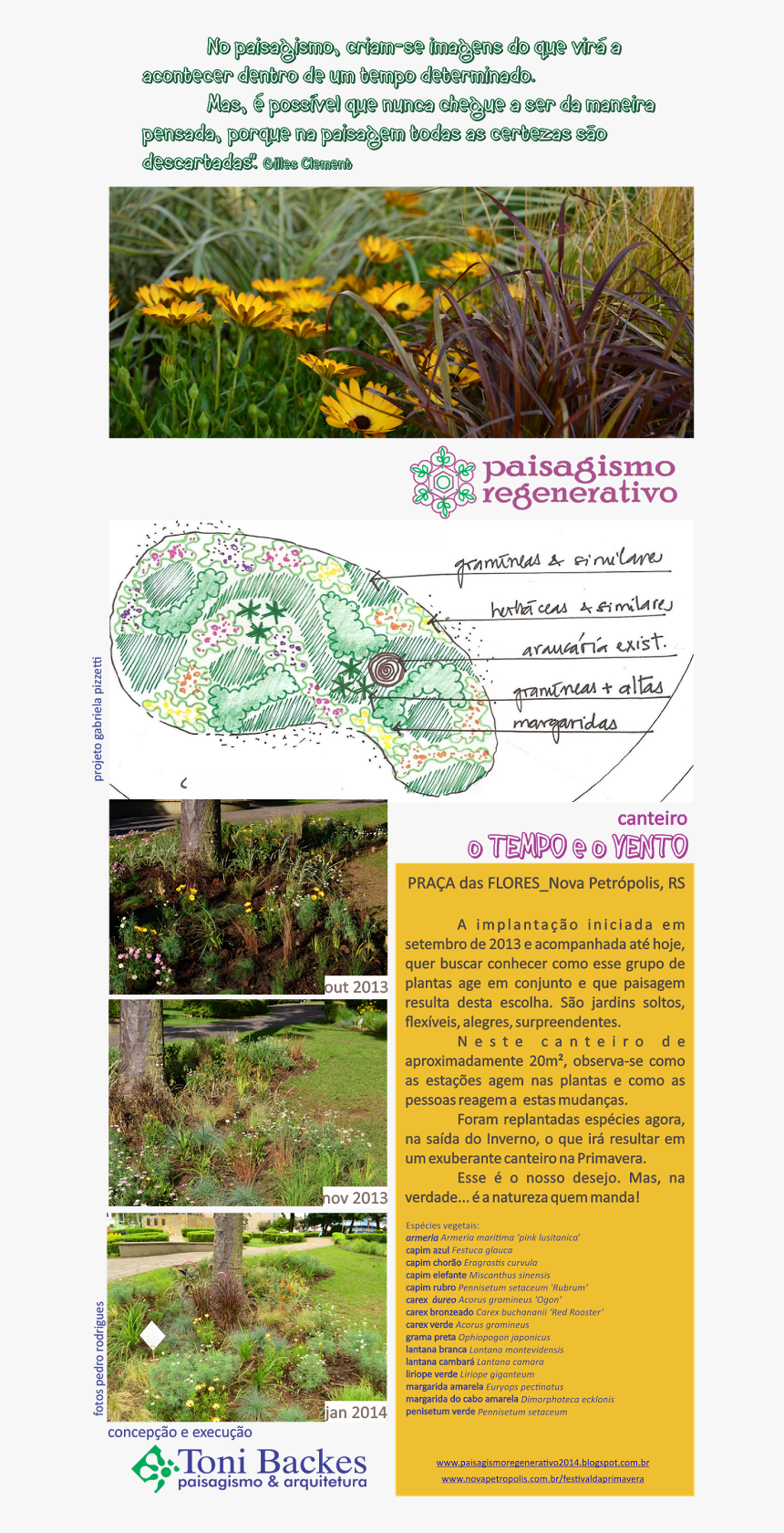 Toni Backes Paisagismo - Botanical Garden, HD Png Download, Free Download