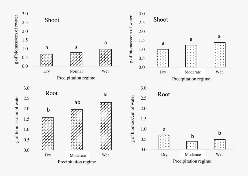 Diagram, HD Png Download, Free Download