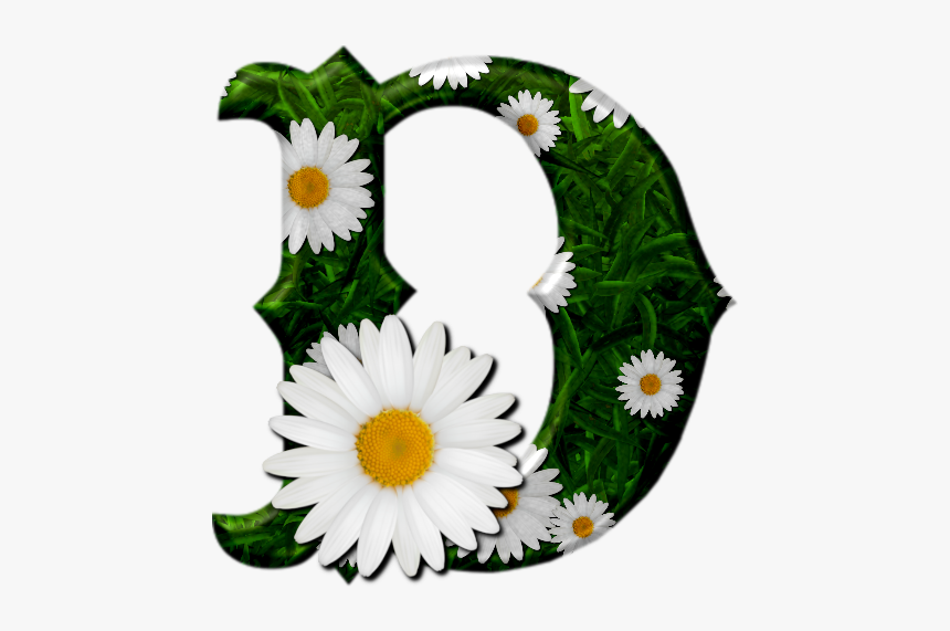 Camomile, HD Png Download, Free Download