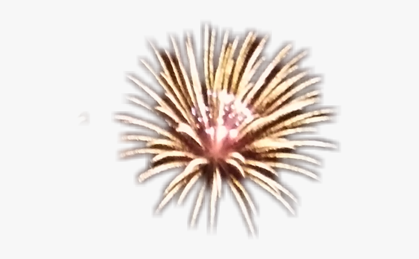 #fuegos Artificiales - Artificial Flower, HD Png Download, Free Download