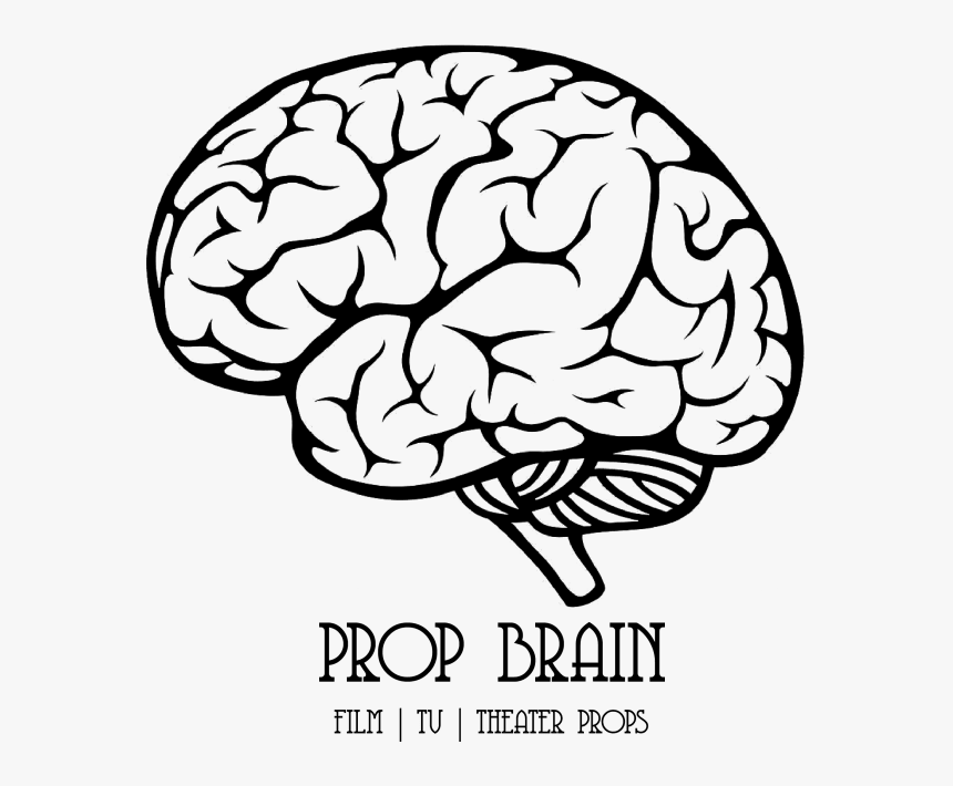 Brain Side View Vector Clipart , Png Download - Brain Clipart Transparent Background, Png Download, Free Download