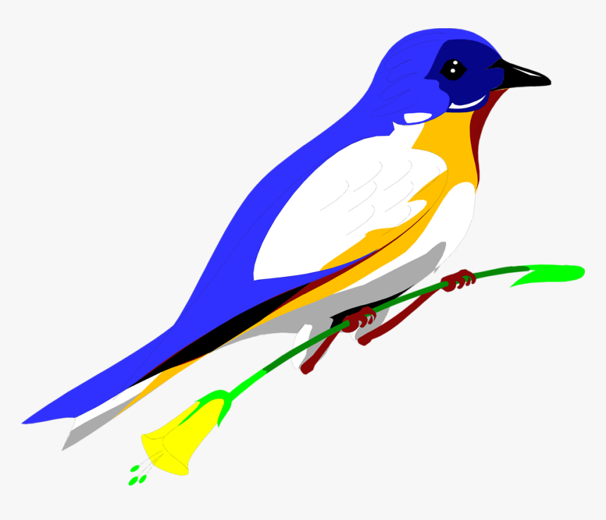 Flying Blue Jay Png Art - Bird Clipart, Transparent Png, Free Download