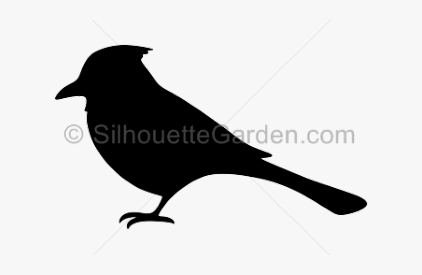 Blue Jay Clipart Transparent - Blue Jay Bird Silhouette, HD Png Download, Free Download