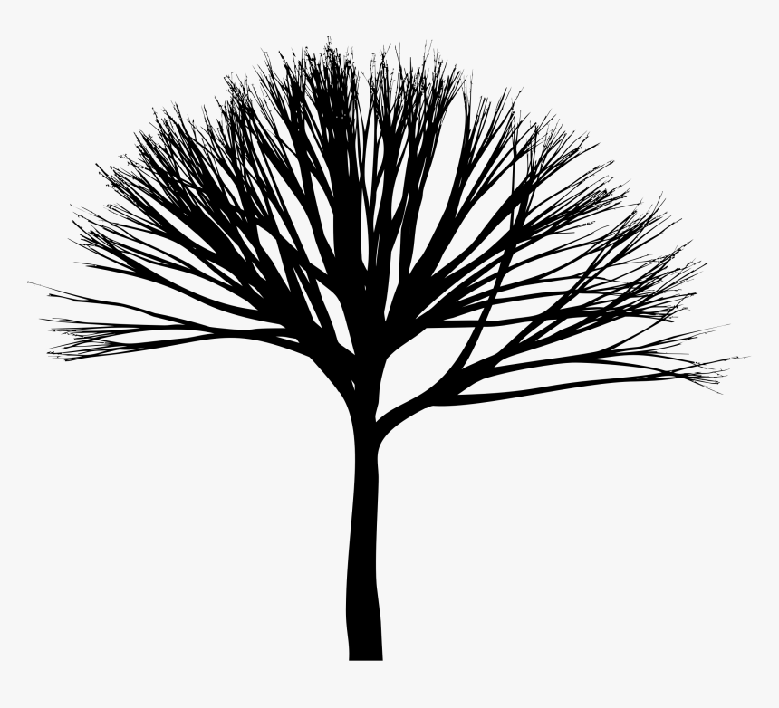 Skinny Tree Silhouette 3 Clip Arts - Silhouette, HD Png Download, Free Download